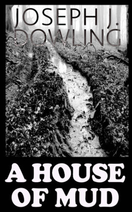 A House of Mud