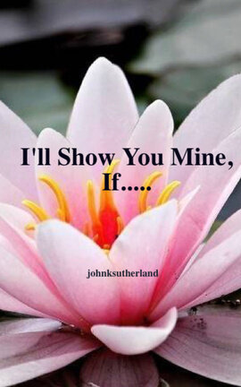 I'll Show You Mine, If.....