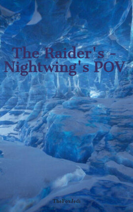 The Raider's - Nightwing's POV