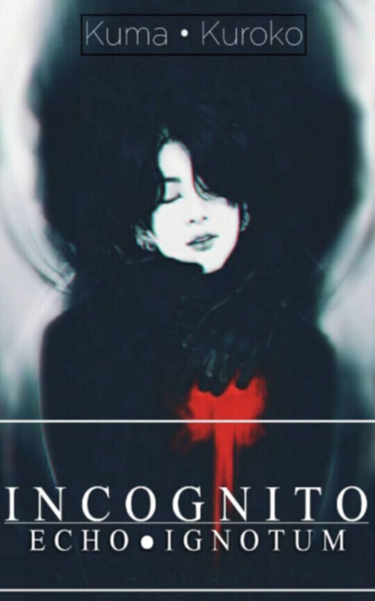 Incognito: Echo • Ignotum