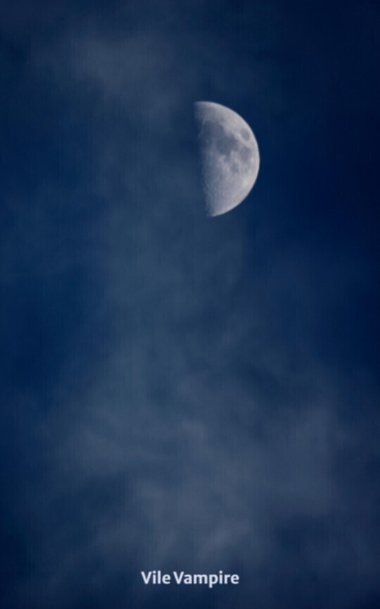 Serendipity