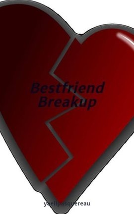 Bestfriend Breakup