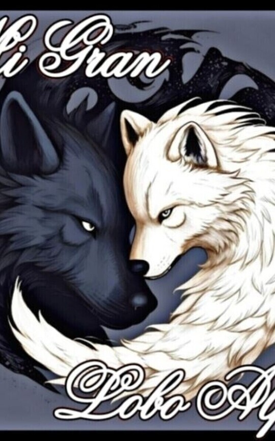Mi gran lobo Alfa