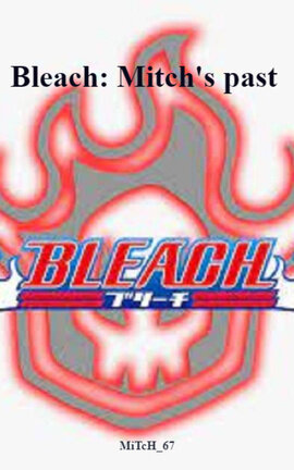 Bleach: Mitch's past