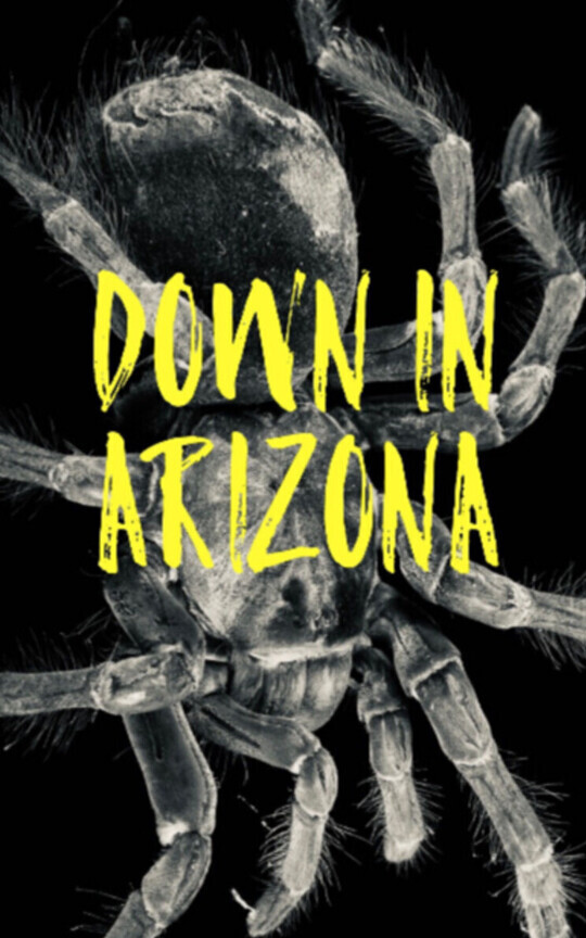Down in Arizona (Unedited)