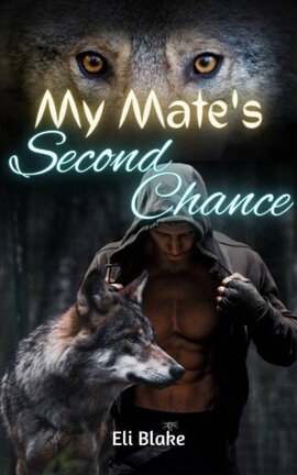 My Mate's Second Chance