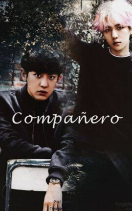 Compañero