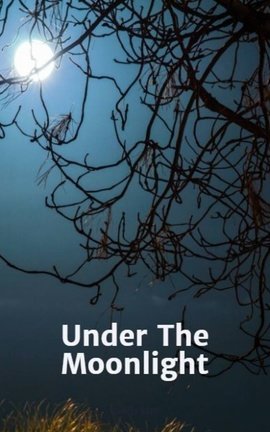 Under The Moonlight