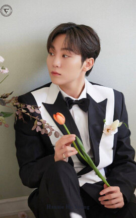 Sourest // Boochan