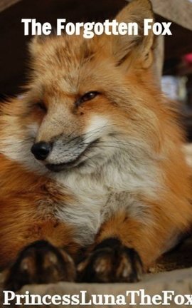 The Forgotten Fox