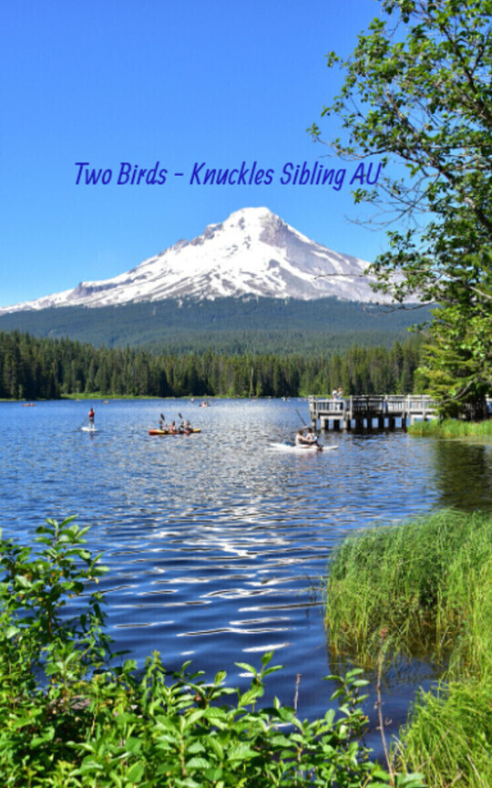 Two Birds - Knuckles Sibling AU