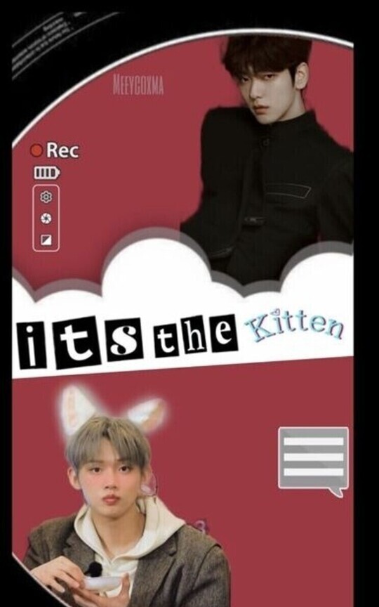 It's the Kitten