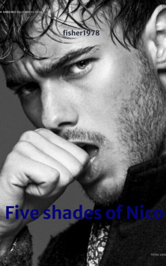 Fünf Facetten von Nico
