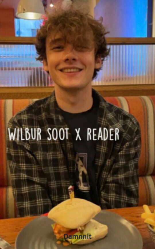 Wilbur Soot x reader