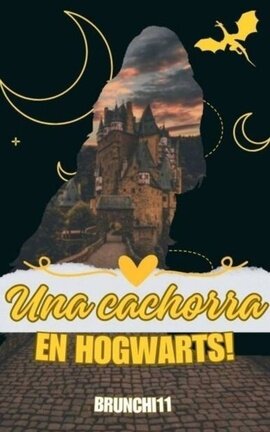 Una cachorra en Hogwarts!