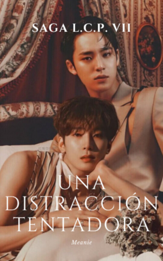 Saga L.C.P VII — Meanie 