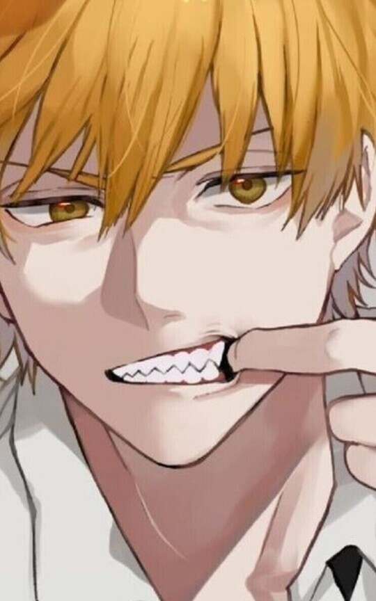 Denji x Makima