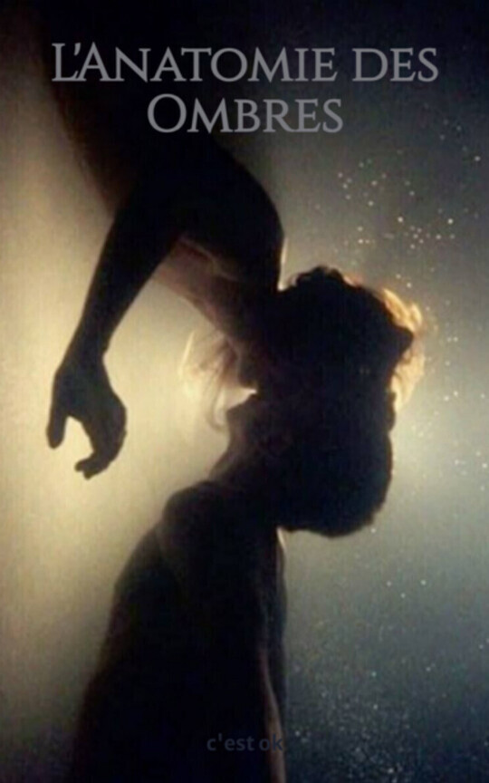 L'Anatomie des Ombres