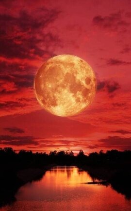 Blood Moon Wars: Book 1 The Calm Before the Storm