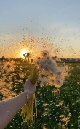 DANDELION|TAEGI|