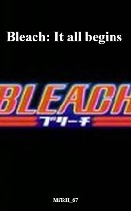 Bleach: It all begins