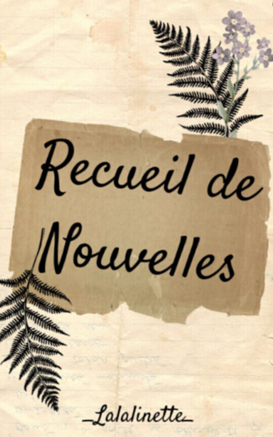 Recueil de nouvelles