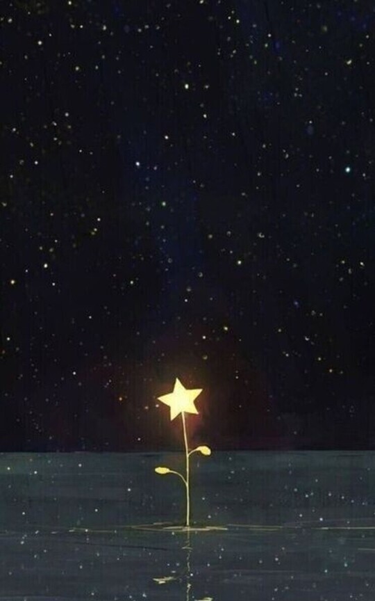 Las estrellas que contemplas|____×Kny[NO SHIP]