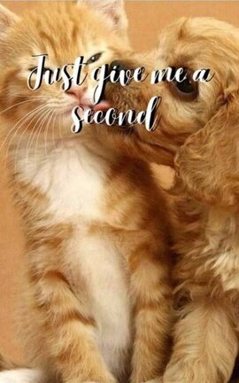 Just give me a second [OS] LT