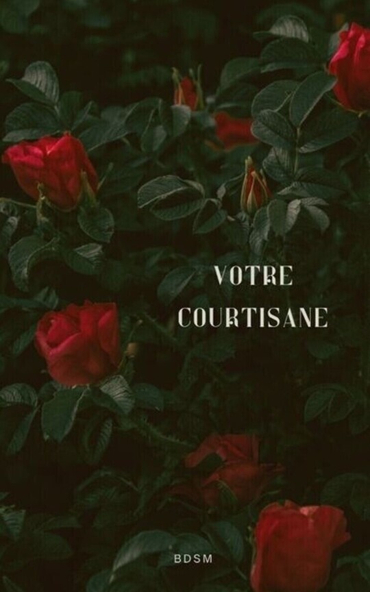 Votre courtisane (bdsm)