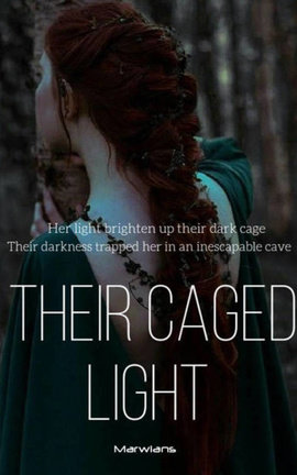 Their Caged Light (BTS Maknae Line FF)