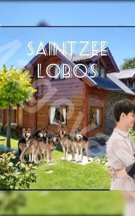 3. SaintZee. Lobos