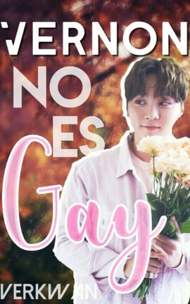 Vernon no es Gay