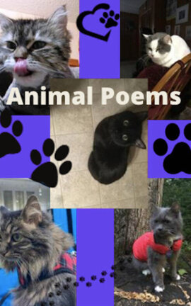 Animal Poems