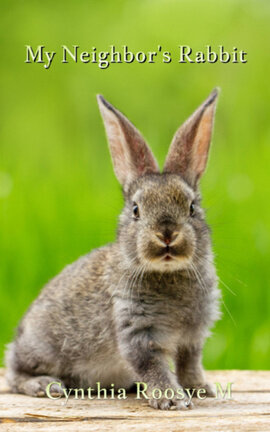 My Neighbor's Rabbit