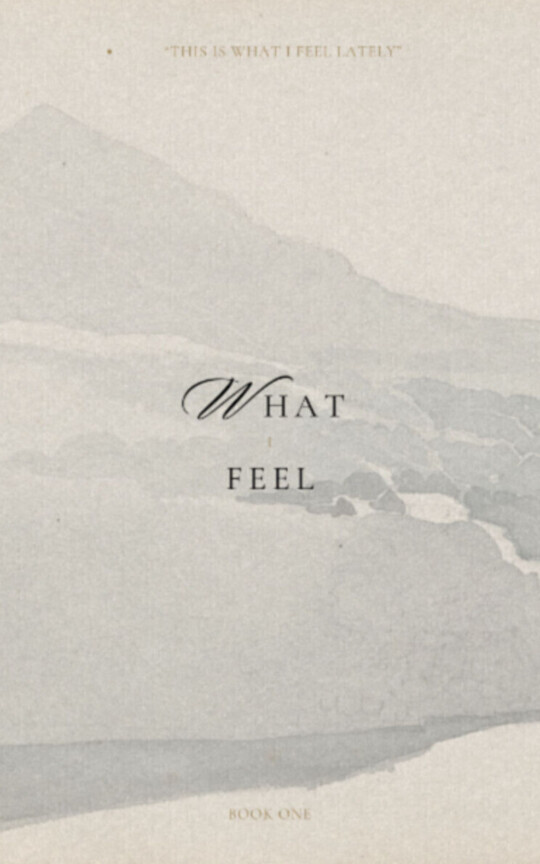 What I Feel