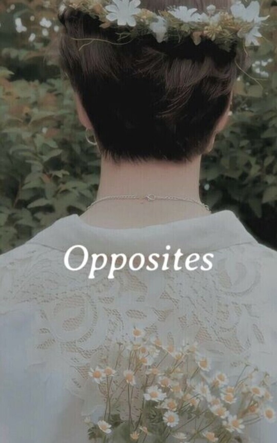 Opposites | Mini Kookmin AU