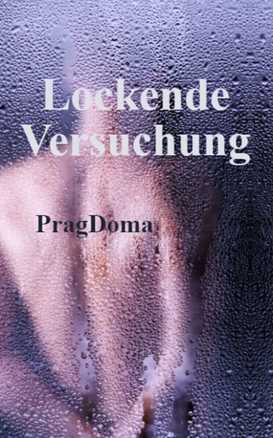  Lockende Versuchung /Final Fantasy