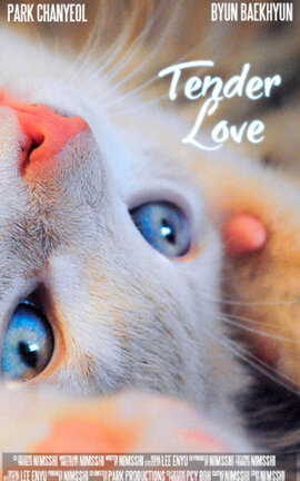 Tender Love