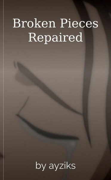 Broken Pieces Repaired
