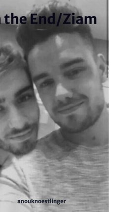 In the End/Ziam