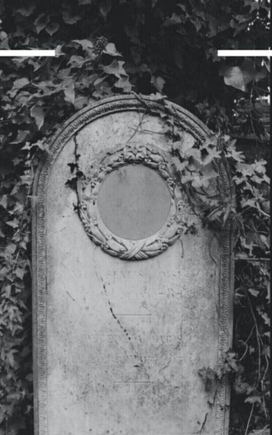 Silent Past 