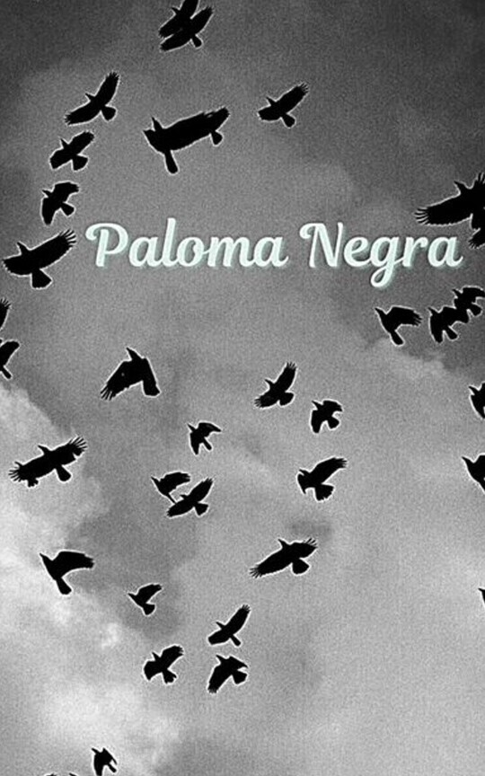 Paloma Negra.