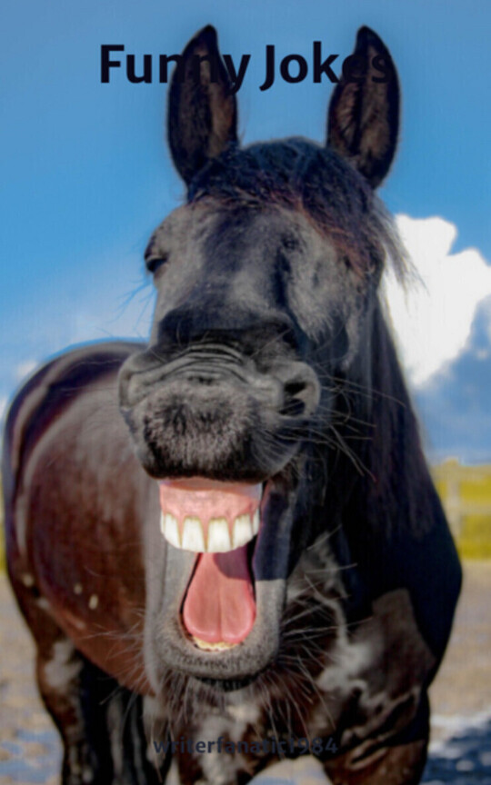 Funny Jokes