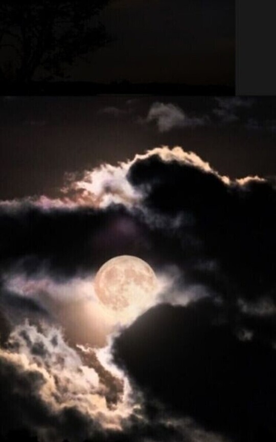 La última noche.