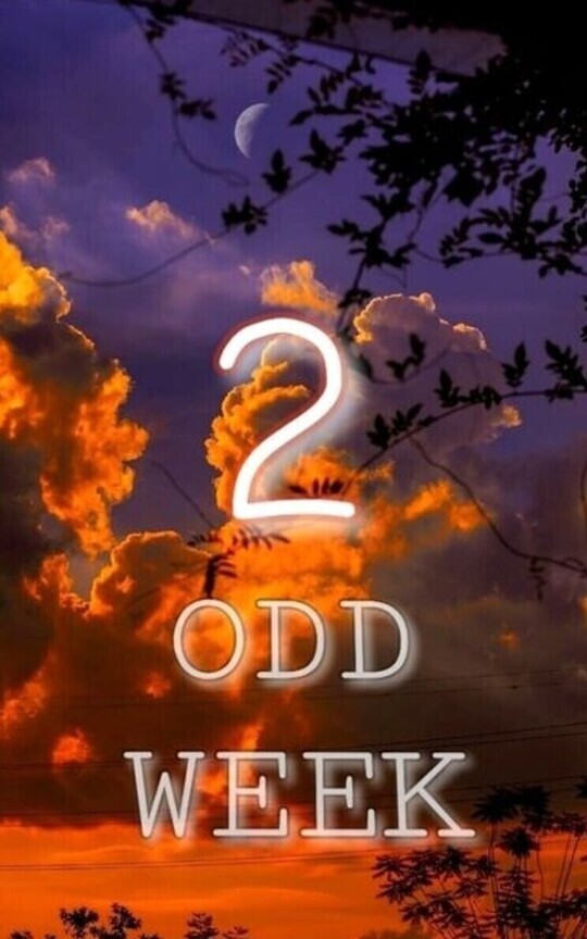 Odd week 2 
