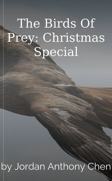 The Birds Of Prey: Christmas Special