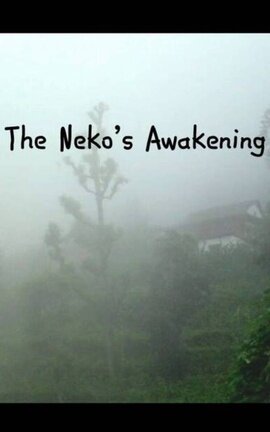 The Neko’s Awakening
