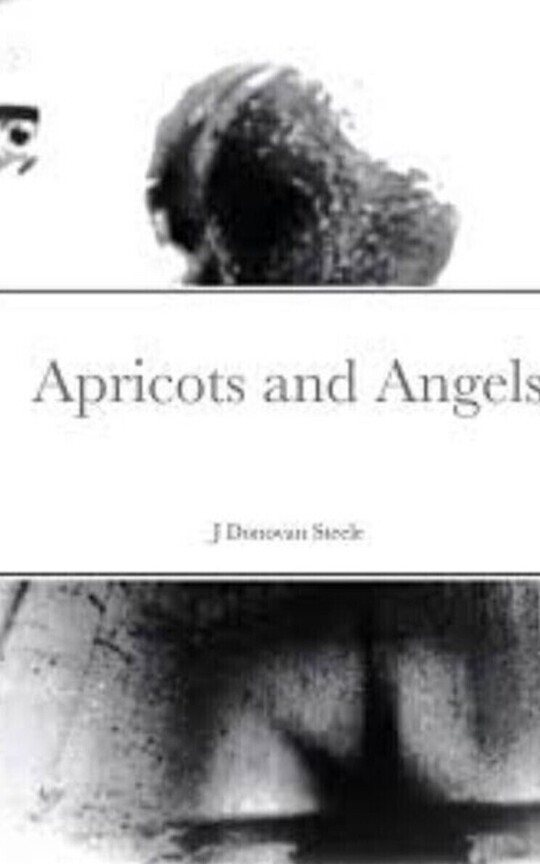 Apricots and Angels