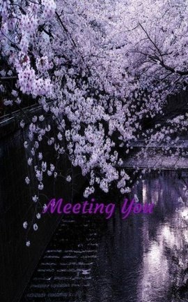 Meeting You