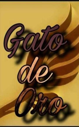 Gato de Oro